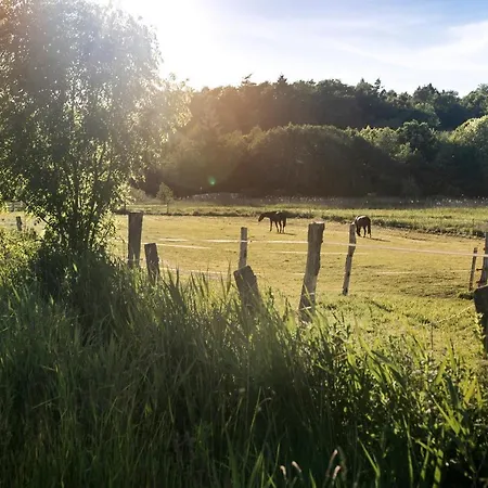 דירה De Ole School Ferienapartments Large-apartment 07 , Huus Brekers הוווכט